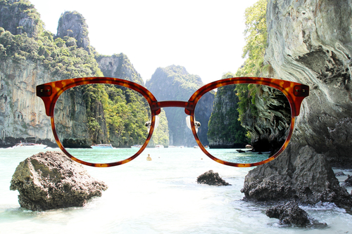 Polarized Sunglasses